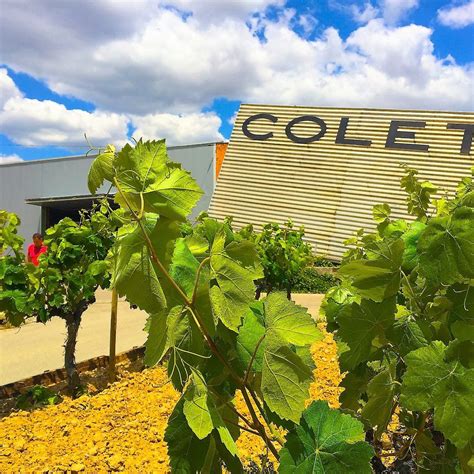 BODEGAS COLET (Updated 2026) All You Need to Know BEFORE You Go (with ...