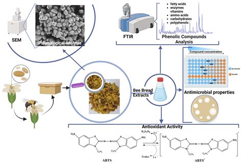 Bee Bread: A Promising Source of Bioactive Compounds with Antioxidant ...