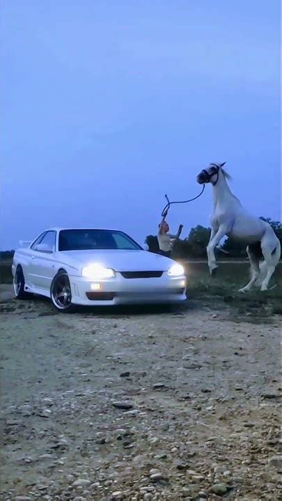 white skyline R34 and horse - YouTube