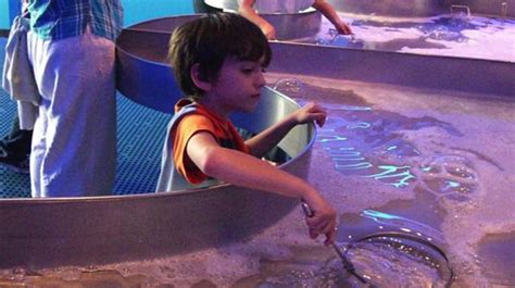 Actividades culturales y recreativas en Quito para este fin de semana ...