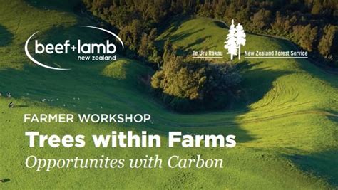 B+LNZ Trees within Farms: Opportunities with Carbon Workshop – Moerewa ...