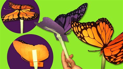 Image result for Making Flying Butterflies