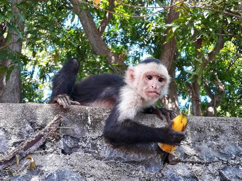 TREK NICARAGUA VOLCANO EXPEDITIONS (2025) All You Need to Know BEFORE ...