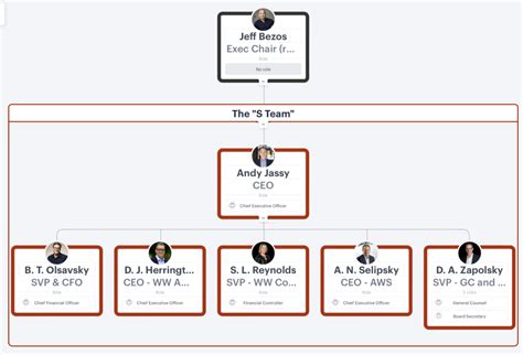 Image result for Organizational Structure Example