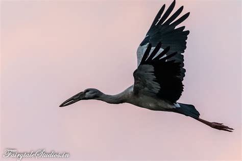 Places to Visit in Majuli River Island, Awesome Assam