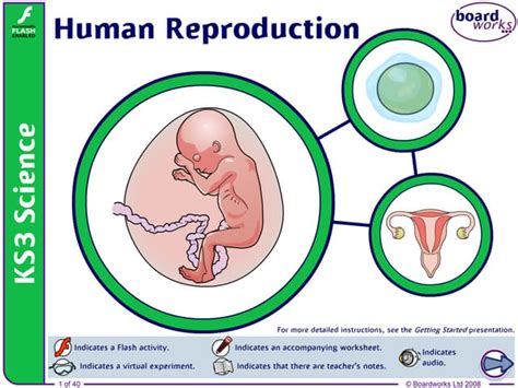 Image result for Why Do Humans Reproduce