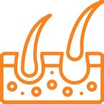 Best Hair Transplant in Jodhpur, Best Hair Transplant Surgeon in India