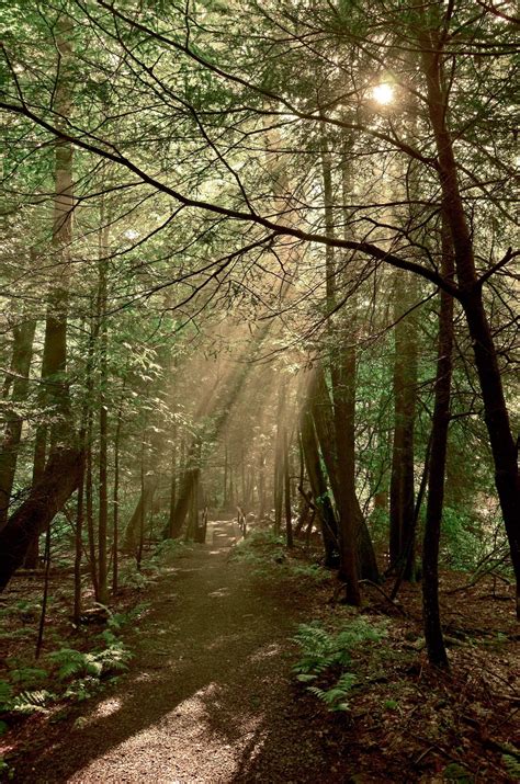 Go State Park-Hopping in Wild, Wonderful West Virginia - Almost Heaven ...