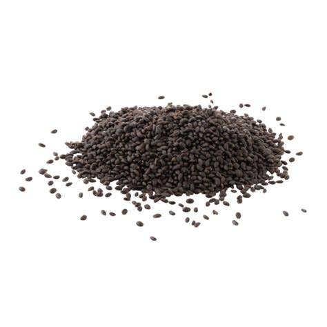 Basil Seeds Manufacturer & Exporter in India | Bulk Sabja Seeds Global ...