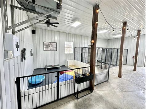 Perfect Flooring For A Dog Kennel You’ll Love