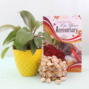 Buy Plants Online Pali | Best Plant Nursery in Pali - Giftalove