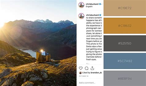 Complementary Color Scheme Examples 的图像结果