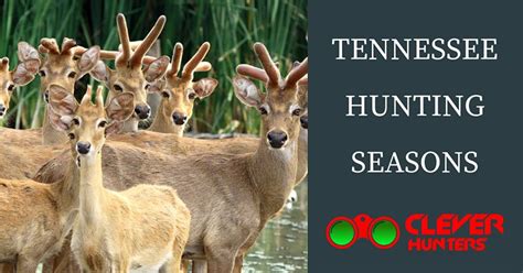 The Best Guide for Tennessee Hunting Seasons, 2018 - 2019