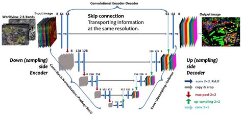 Diffusion Model Unet 的图像结果
