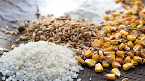 Folic Acid Rich Foods: फोलिक एसिड बढ़ाने के लिए क्या खाएं? | Folic Acid ...