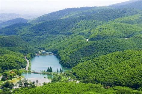 宜兴竹海风景区门票多少钱-游玩攻略_旅泊网