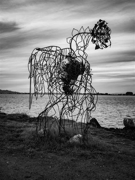 Albany Bulb San Francisco bay