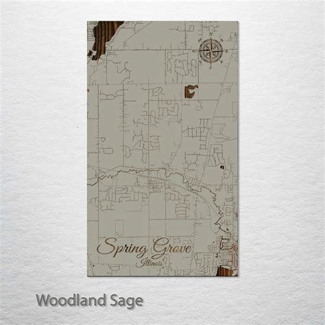 Spring Grove, Illinois Street Map