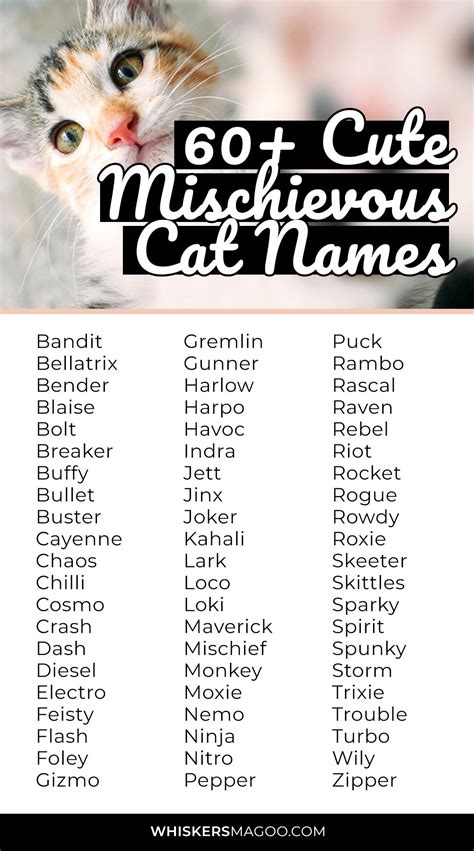 Egyptian cat names 300 fantastic names inspired by egypt – Artofit