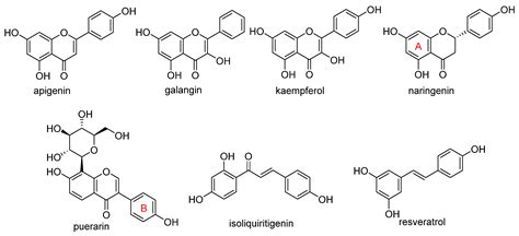 Review and Chemoinformatic Analysis of Ferroptosis Modulators with a ...