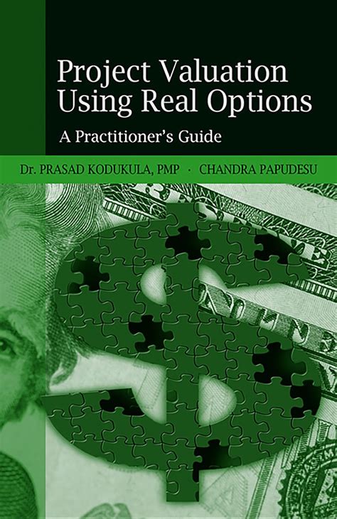 Project Valuation Using Real Options: A Practitioner's Guide eBook ...