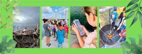 Rocks & Minerals w/ Dragonfly Field Labs, Boneyard Beach, Jacksonville ...