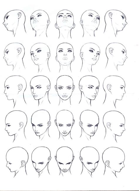Face Drawing Reference Female at JENENGE blog