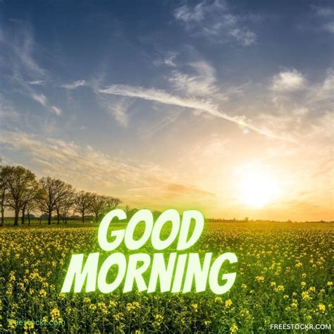 Good Morning Beautiful Meme