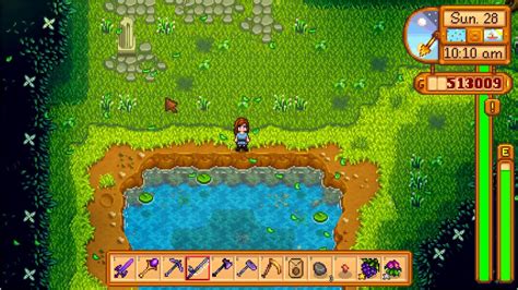 How to get Woodskip in Stardew Valley