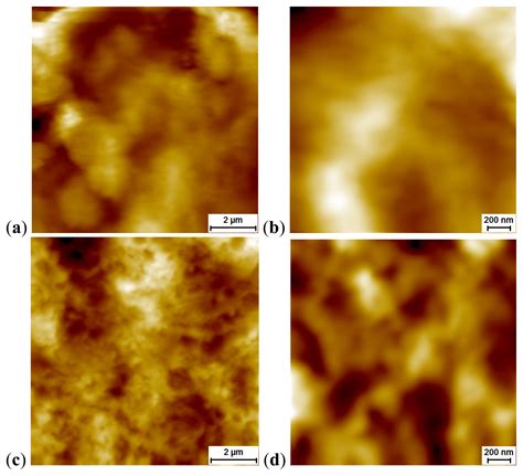 Comparative in Vivo Assessment of Some Adverse Bioeffects of ...