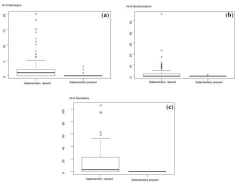 Do Salamanders Limit the Abundance of Groundwater Invertebrates in ...