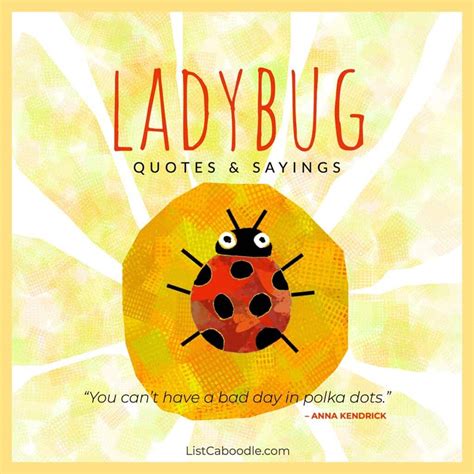 50+ Ladybug Quotes (To Bring You Good Luck!)