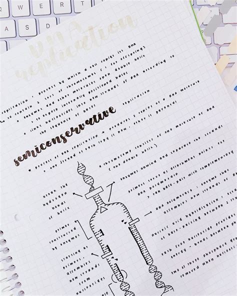 Image result for DNA Replication Notes