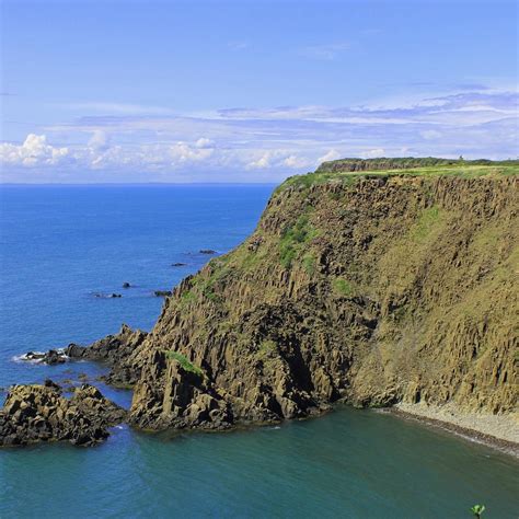 GRAND MANAN ISLAND: Tutto quello che c'è da sapere (2026)