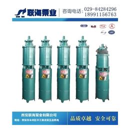 单相耐高温潜水泵_QDNG8-20-1.1KW-上海渤泉泵业制造有限公司