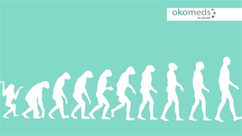 Image result for Evolution Human Body