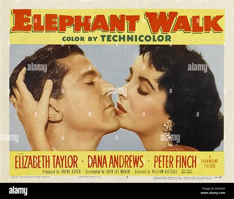 Elephant Walk - Movie Poster Stock Photo - Alamy
