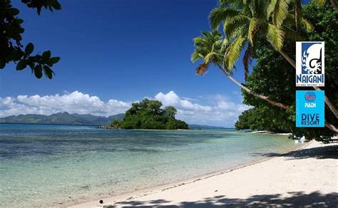 NAIGANI ISLAND RESORT - Resort Reviews & Photos - Tripadvisor