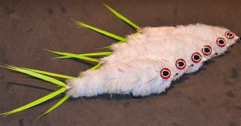 GameChanger Fly Pattern 的图像结果