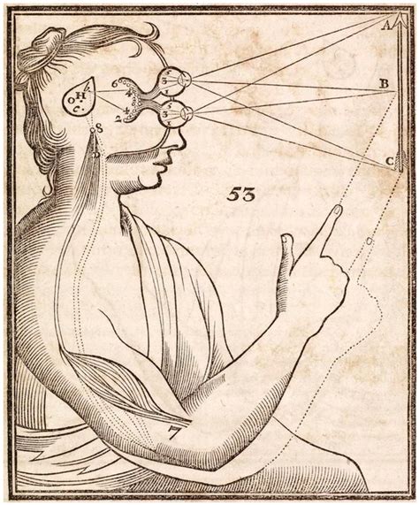 Perception Explained 的图像结果