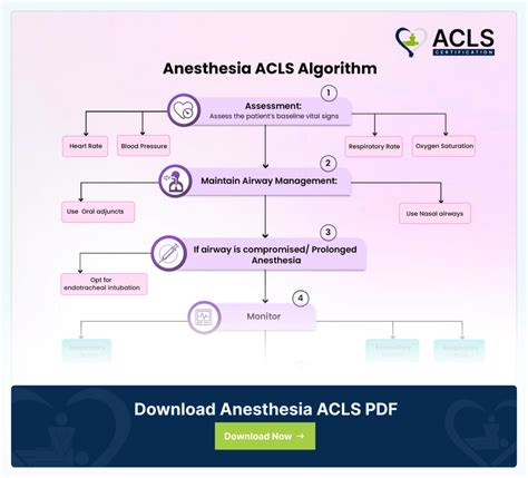 Asystole ACLS Algorithm 的图像结果