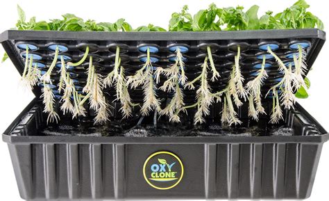 Buy OxyClone OX80SYS Hydrofarm 80 Site, Compact Recirculating Cloning ...