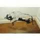 Wiry Wolf Sculptures : David Oliveira for Galeria 111