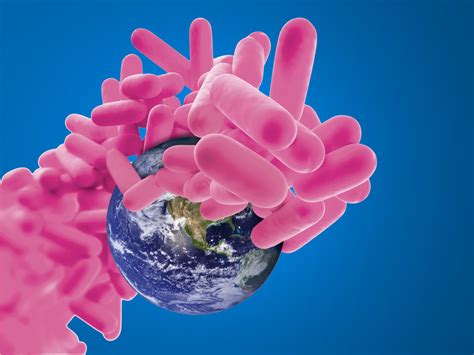 GenoType CMdirect VER 1.0 | Bruker