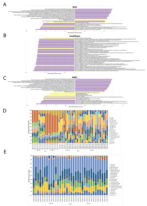 Identification of Lung and Blood Microbiota Implicated in COVID-19 ...