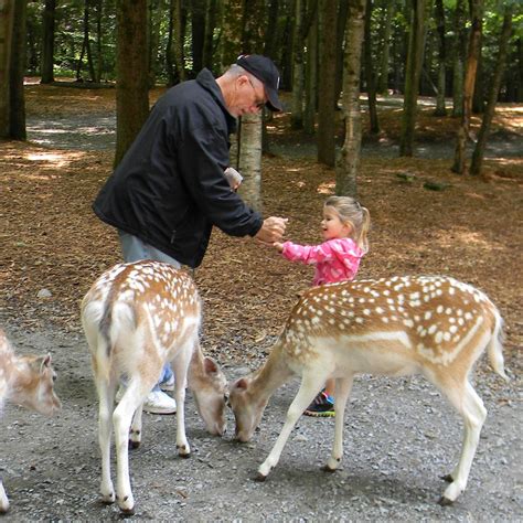 Adirondack Animal Land (Gloversville) - 2022 Lohnt es sich? (Mit fotos)