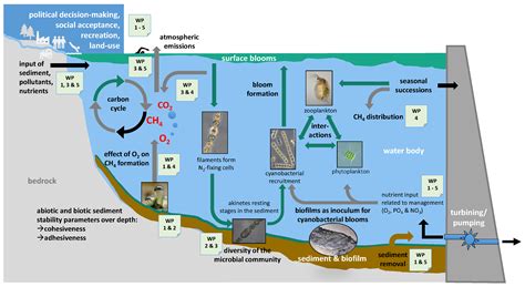 Interdisciplinary Reservoir Management—A Tool for Sustainable Water ...