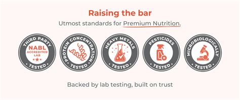 Best Vegan Plant Protein Bars in India | 15g Plant Protein | Pluckk