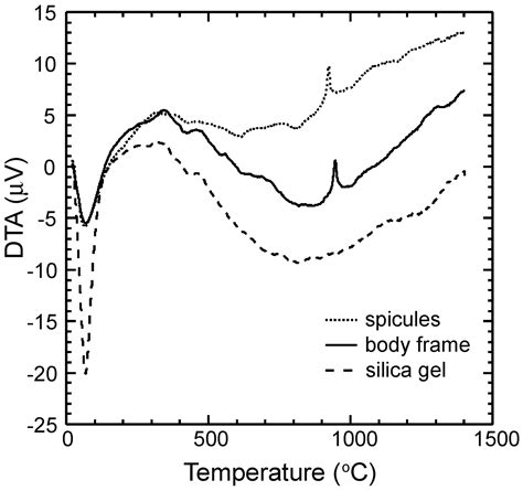 Structural Characterization of the Body Frame and Spicules of a Glass ...
