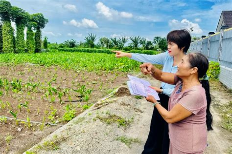 Điều kiện tách, hợp thửa đất theo Luật Đất đai 2024